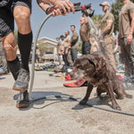 Merino Compression Socks