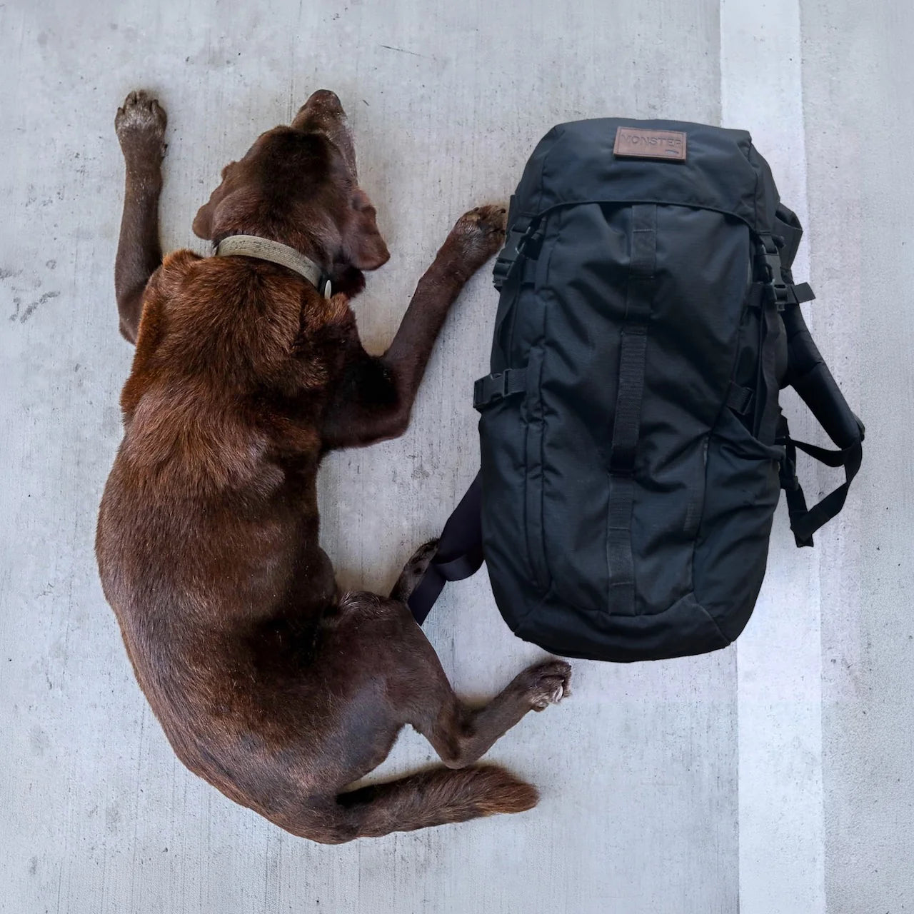 GR MONSTER Rucksack - PREORDER